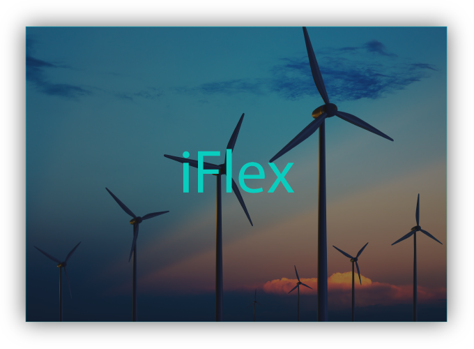 iFlex_projekt